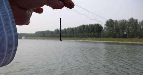 如何掌握钓鱼滑铅技巧方法？滑铅技巧在钓鱼中的常见问题有哪些？