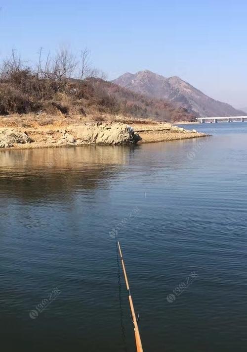 钓鱼化冻最佳方法和技巧是什么？如何快速有效地化冻钓鱼？