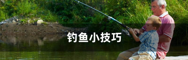 钓鱼基本小技巧有哪些？如何快速掌握？