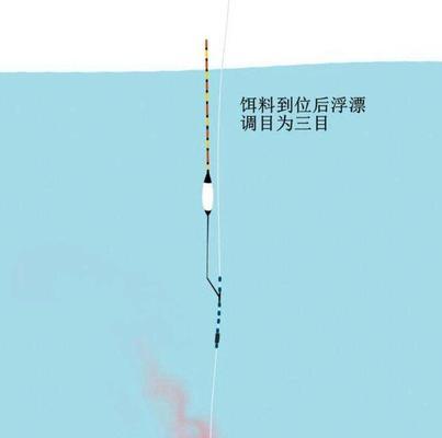 钓鱼基础入门技巧调漂教程？如何快速掌握调漂技巧？