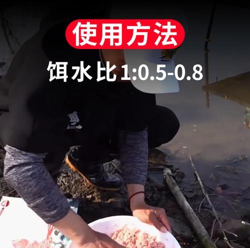 如何选择最佳钓鱼技巧和抛竿饵料？