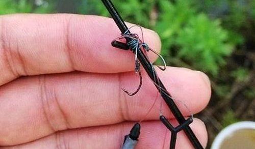 如何快速掌握3秒更换子线的钓鱼技巧？