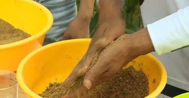 不同水层散炮的正确使用方法是什么？如何根据水层调整钓鱼技巧？