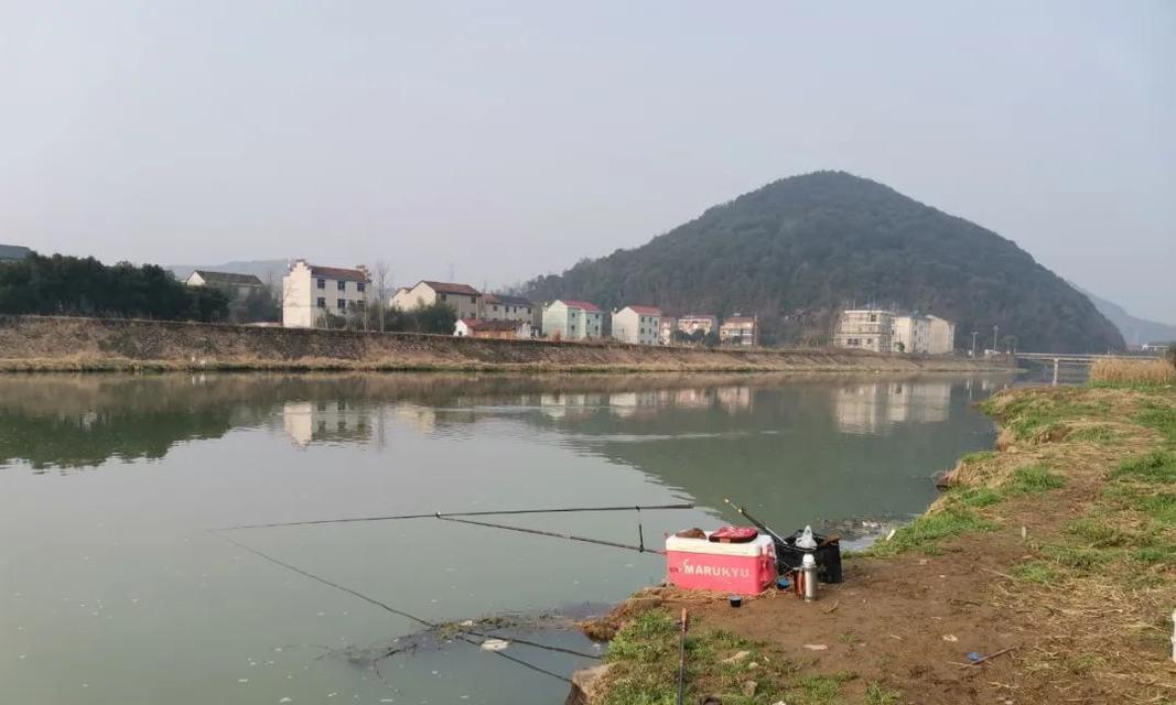 抽窝子和打窝在钓鱼技巧中有何不同？
