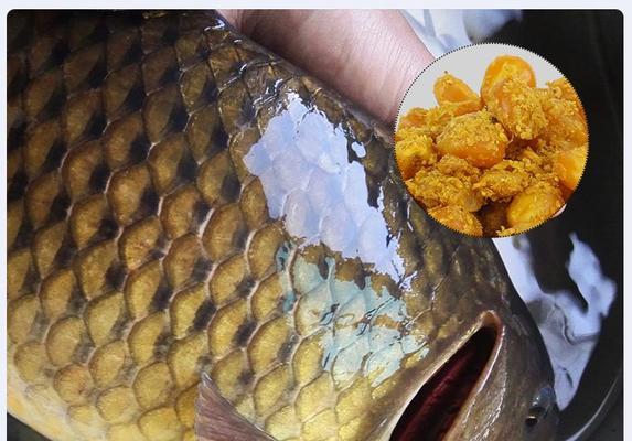 钓鱼技巧打窝饵料调配？如何调配出最佳的钓鱼饵料？
