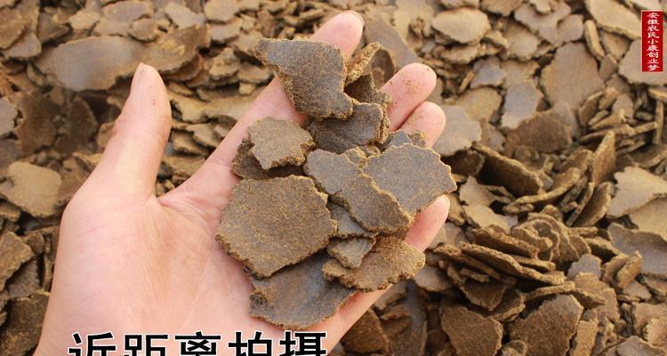 钓鱼技巧打窝用什么配料比较好？如何选择最佳打窝材料？