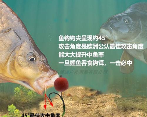 反底钓法是什么？如何掌握反底钓技巧？
