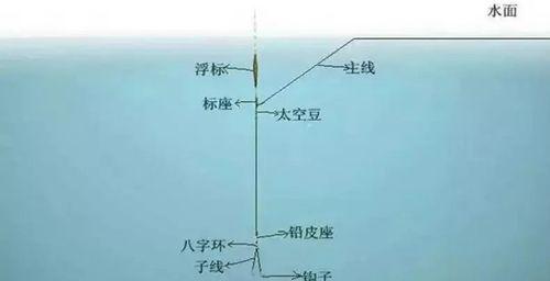 钓鱼技巧的调漂如何进行？有哪些常见问题需要解决？