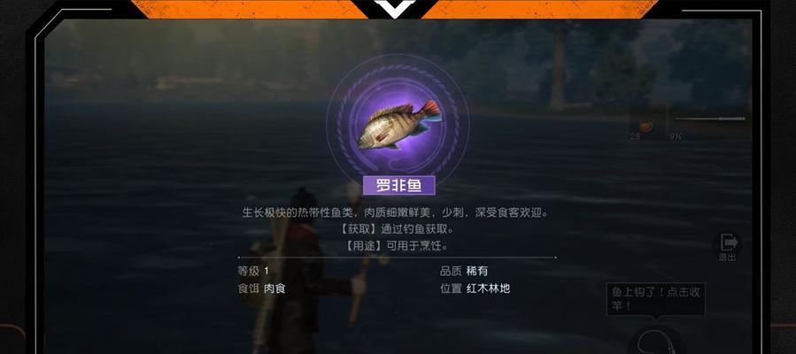 如何掌握钓鱼技巧的四大套路？这些套路能提高你的钓鱼成功率吗？