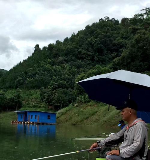 如何掌握钓鱼技巧的正确方法？钓鱼新手常见问题有哪些？