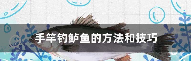 如何掌握钓鱼技巧的正确方法？钓鱼新手常见问题有哪些？