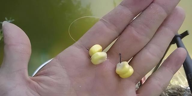钓鱼技巧的正确使用方法是什么？如何提高钓鱼成功率？