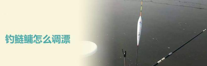 钓鱼技巧钓浮怎么调漂？调漂的正确步骤和技巧是什么？