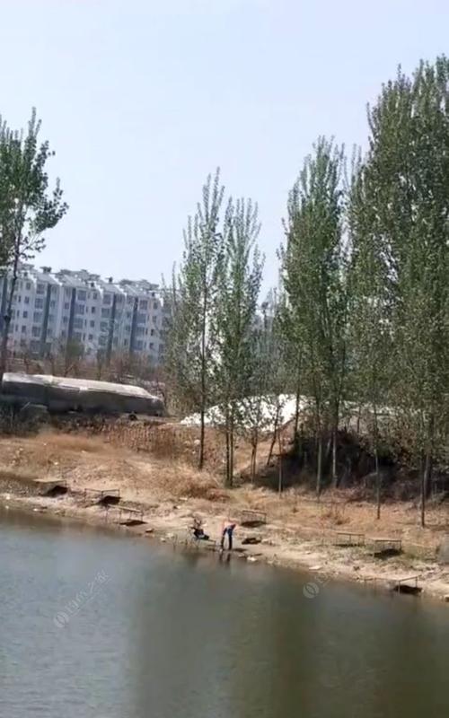 如何掌握钓鱼技巧钓黑坑？常见问题有哪些？