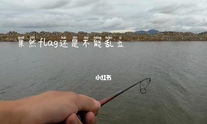 如何掌握水底有草区域的钓鱼技巧？
