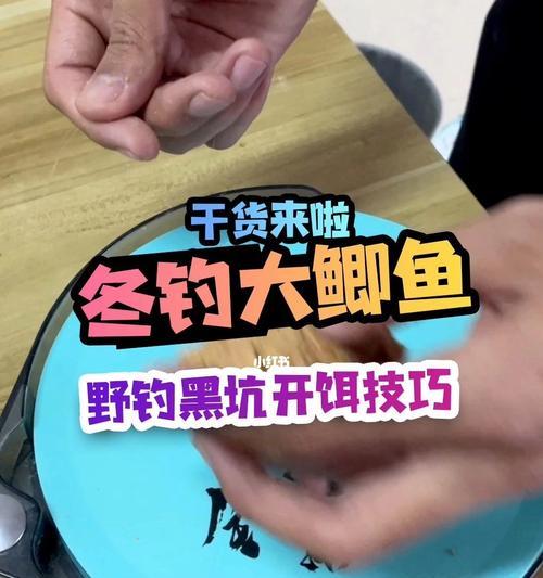 钓鱼技巧钓鱼技巧有哪些？如何提高钓鱼成功率？