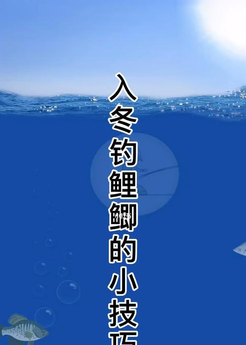 如何快速掌握钓鱼技巧？钓鱼教程中有哪些常见问题解答？