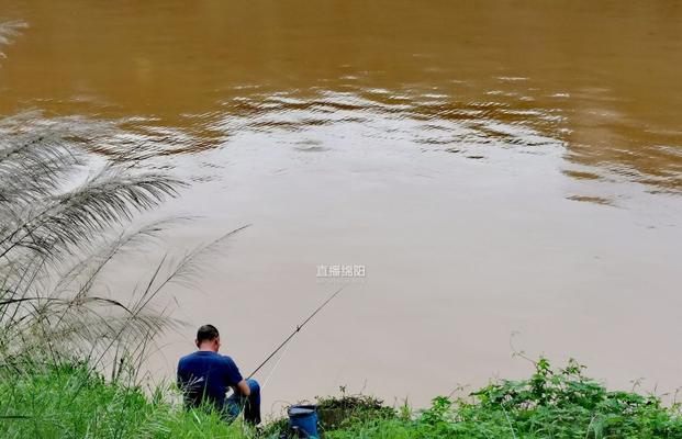 钓鱼技巧钓鱼人不得不看？如何提升钓鱼成功率？