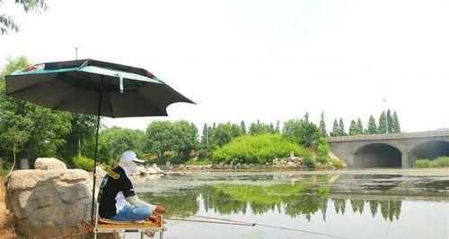 钓鱼技巧钓鱼怎样观漂杨杆？掌握这些技巧让你轻松钓到鱼