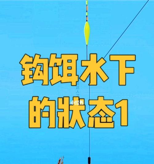 如何调整浮漂提高钓鱼技巧？常见问题有哪些？
