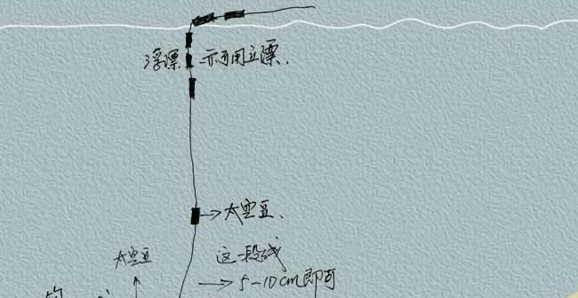 钓鱼技巧调漂的最佳时间是什么？如何根据时间调整漂浮技巧？