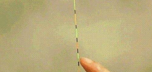 如何掌握钓鱼技巧中的调漂方法和调平水技巧？