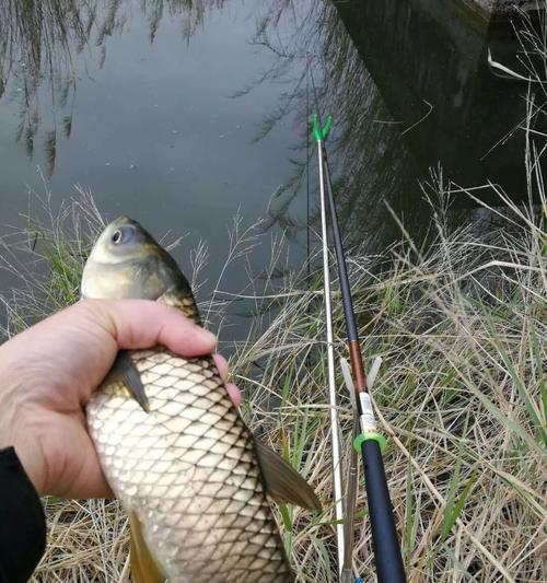 冬钓时选择深水区还是浅水区更好？如何根据季节调整钓鱼技巧？