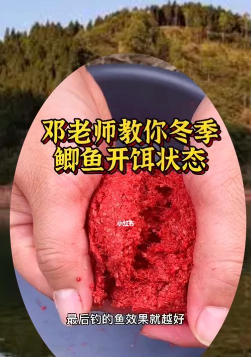 冬天钓鱼用什么饵料效果最佳？如何选择适合冬季的鱼饵？