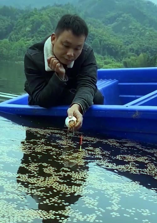 钓鱼技巧都一样？如何提高钓鱼成功率？