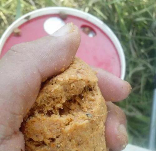 如何掌握钓鱼技巧抖灰面？抖灰面钓鱼技巧有哪些常见问题？