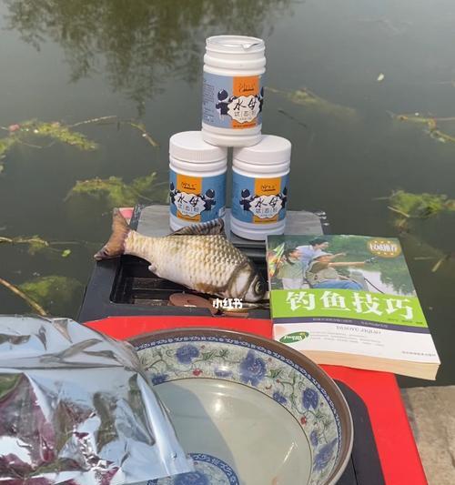 钓鱼技巧饵料调配怎么做好？有哪些常见问题需要避免？
