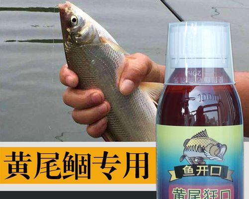 钓鱼技巧饵料调配怎么做好？有哪些常见问题需要避免？
