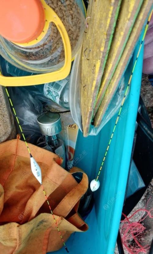如何调整浮漂确保大鱼不逃脱？钓鱼时浮漂调校技巧解析？
