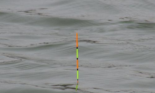 如何调整钓鱼浮漂？浮漂调整技巧有哪些常见问题？