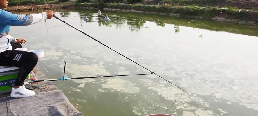 钓鱼技巧中竿尖入水多少才合适？如何判断最佳入水深度？