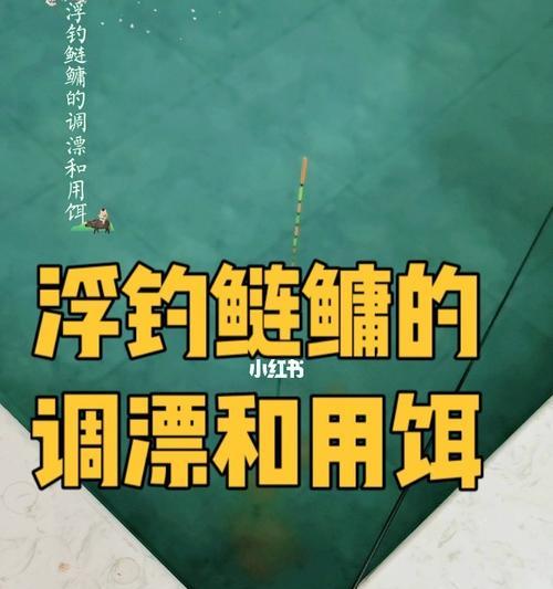 钓鱼技巧竿尖入水多少才合适用？如何判断最佳入水深度？