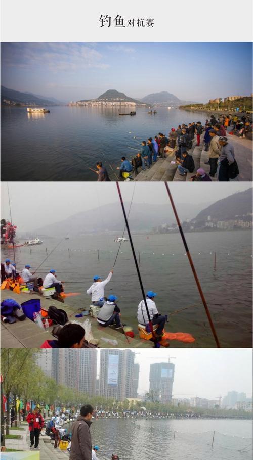 钓鱼技巧各有不同？如何根据鱼种选择合适的钓法？