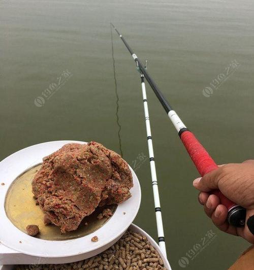 钩尖江湖栏目组分享哪些钓鱼技巧？如何提高钓鱼成功率？