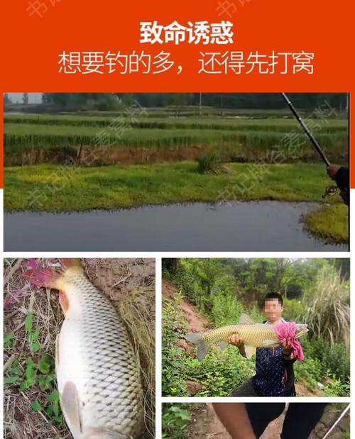 如何制作钓鱼技巧谷麦饵料？制作过程中需要注意哪些常见问题？