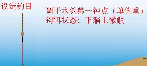 如何正确挂蚯蚓进行钓鱼调漂？常见问题有哪些？