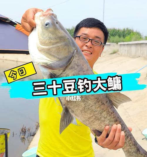 广东冬季钓鱼技巧有哪些？如何提高冬季钓鱼成功率？