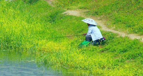 野钓时如何判断最佳拉鱼时机？掌握这些技巧轻松提升渔获！
