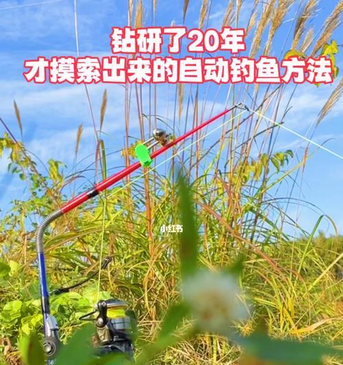 钓鱼技巧和方法的常见问题有哪些？如何解决？