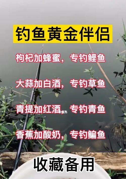 钓鱼技巧和方法来袭？如何快速掌握钓鱼的秘诀？