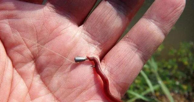 钓鱼技巧和方法有几种？如何提高钓鱼成功率？