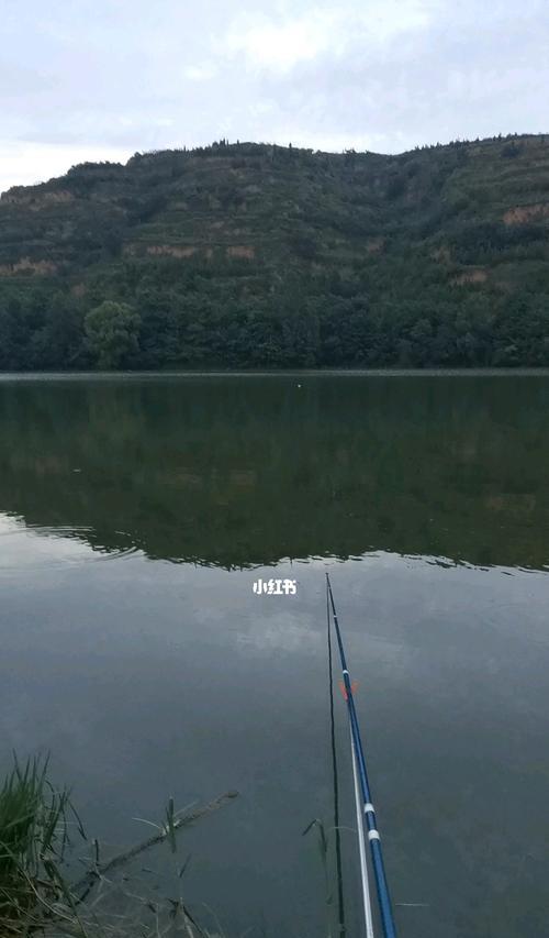 如何掌握钓鱼技巧和公式？提高钓鱼成功率的秘诀是什么？