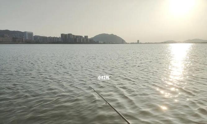 如何掌握钓鱼技巧和公式？提高钓鱼成功率的秘诀是什么？