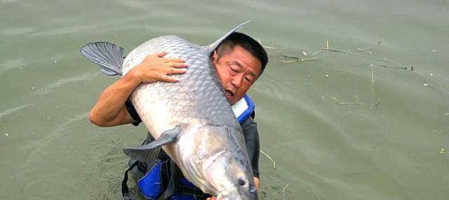 钓鱼技巧和经验总结？如何提高钓鱼成功率？