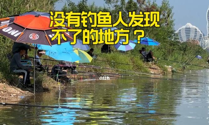 钓鱼技巧和口诀顺口溜有哪些？如何提高钓鱼效率？