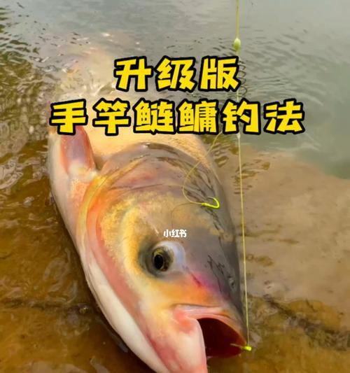 钓鱼技巧和理论有哪些知识？如何提高钓鱼效率？